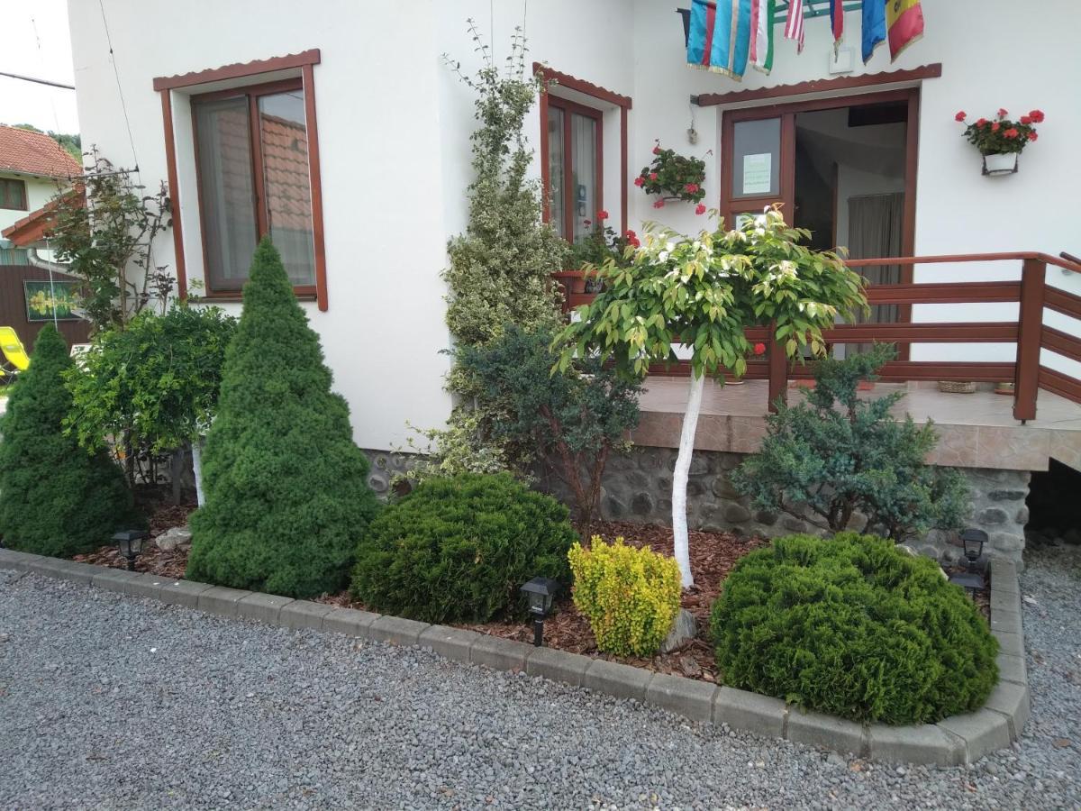 Ferienwohnung Raza Soarelui Sovata Exterior foto